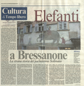 Elefanti a Bressanone