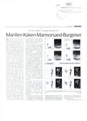 Marillen-Küken-Marmorsand-Burgeiser