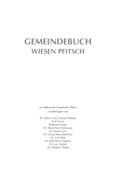 Gemeindebuch Wiesen Pfitsch