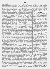 /tessmannDigital/presentation/media/image/Page/Innzeitung/1864/06_06_1864/Innzeitung_1864_06_06_3_object_5024229.png