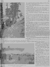 /tessmannDigital/presentation/media/image/Page/SonntagsBlatt/1916/19_02_1916/SonntagsBlatt_1916_02_19_3_object_8327069.png